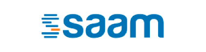 SAAM Logo
